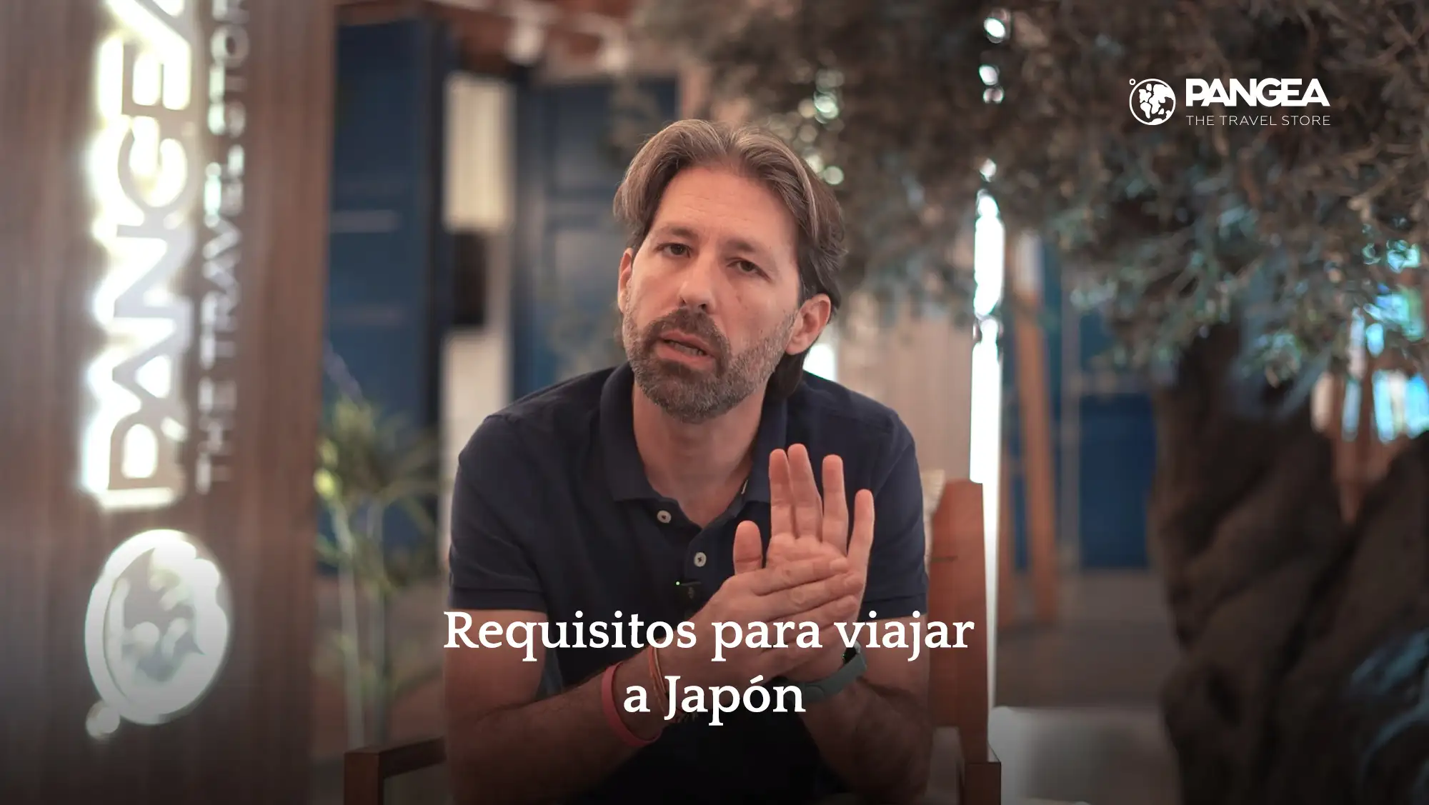 video modal image