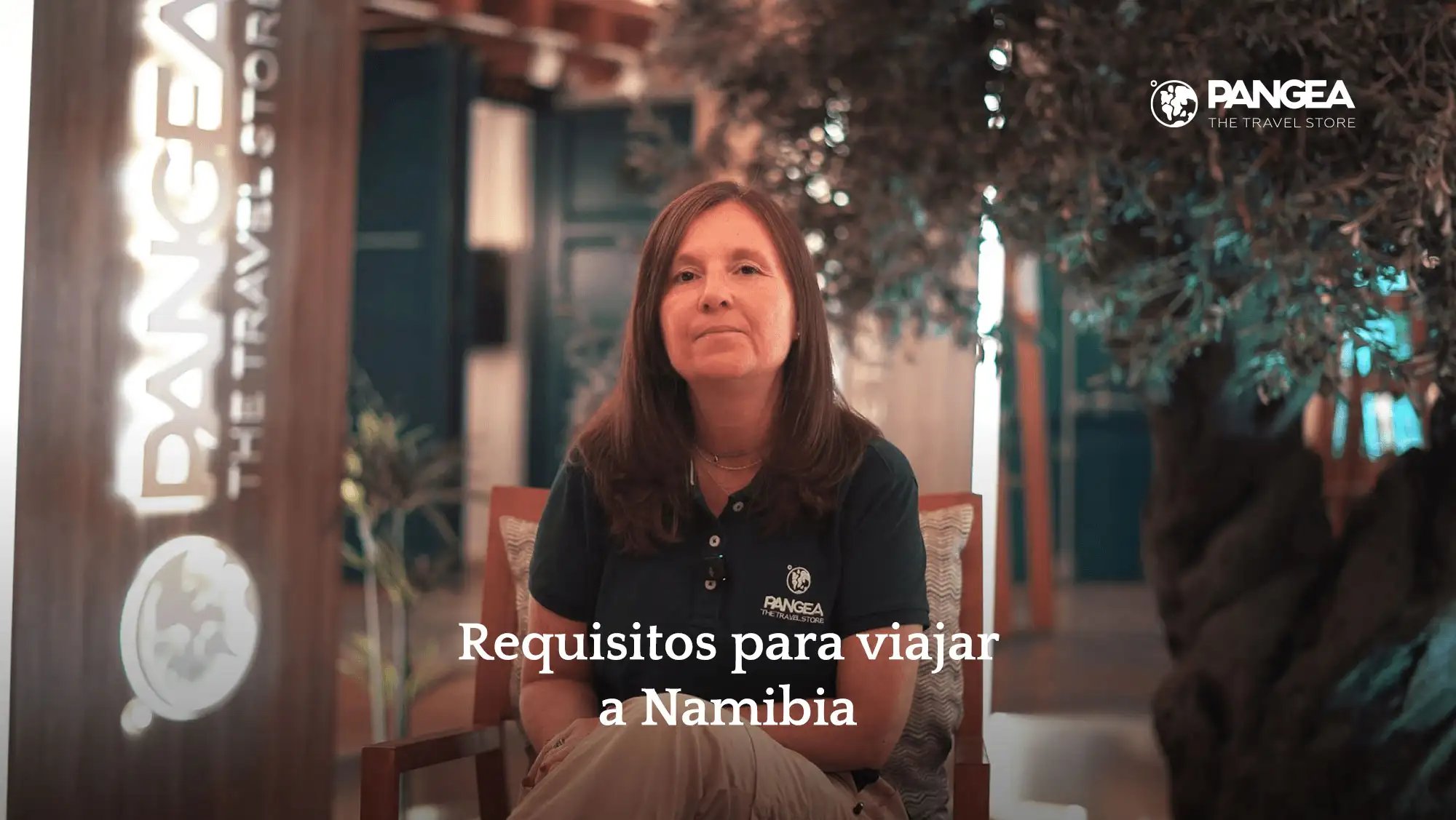 video modal image