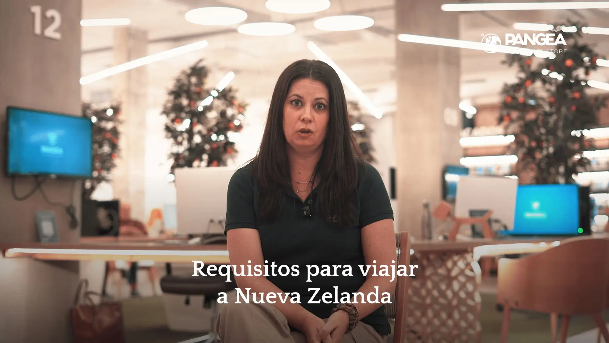 video modal image