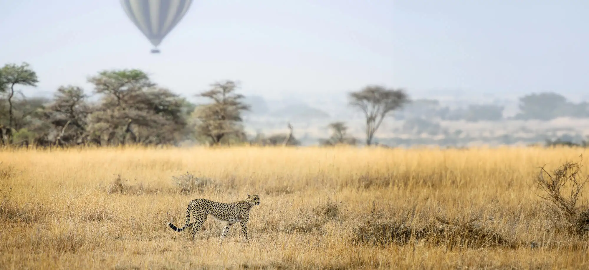 Consejos para viajar a Tanzania