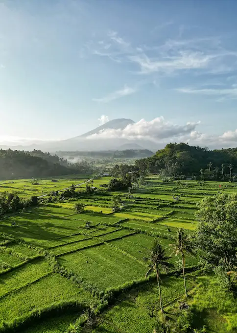 Mejor época para viajar a Indonesia