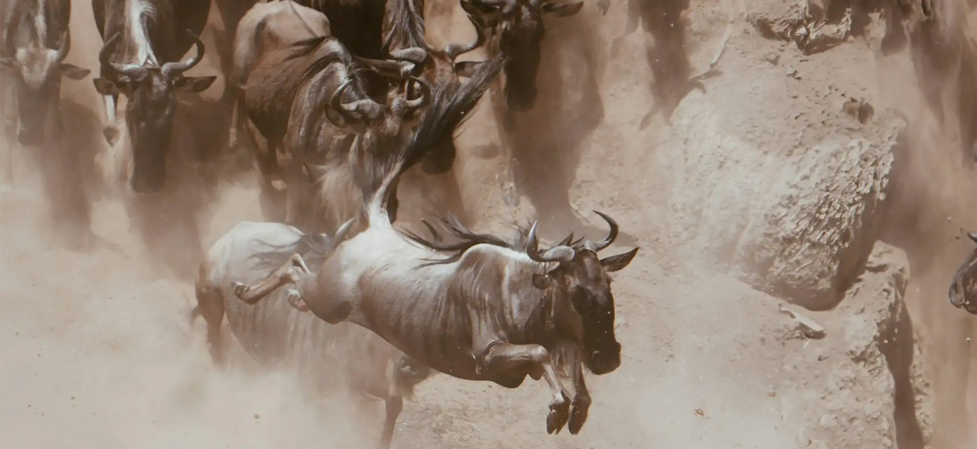 Mejor época para viajar a Tanzania