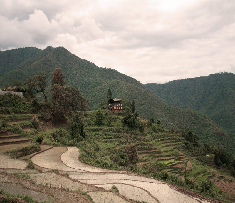 cuando-viajar-butan-primavera.jpg - Pangea Viajes