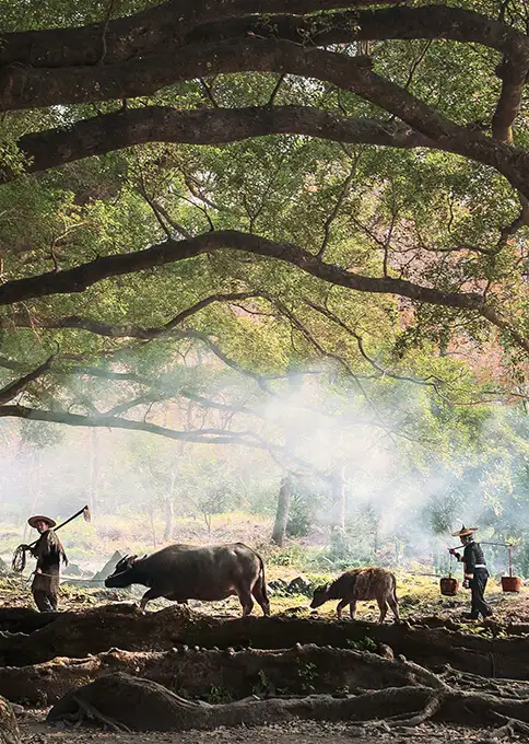 Mejor época para viajar a China 