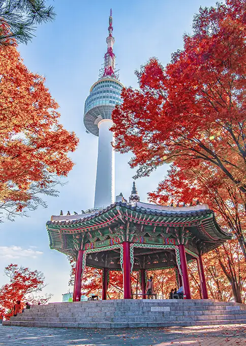 Mejor época para viajar a Corea del Sur