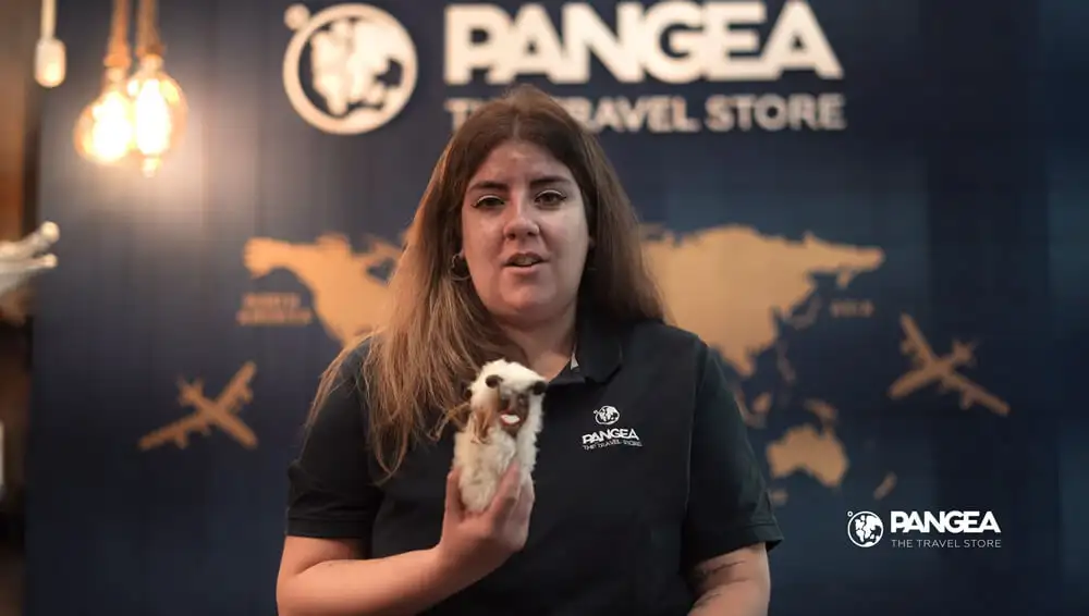 Laura te cuenta cuándo viajar a Hungría