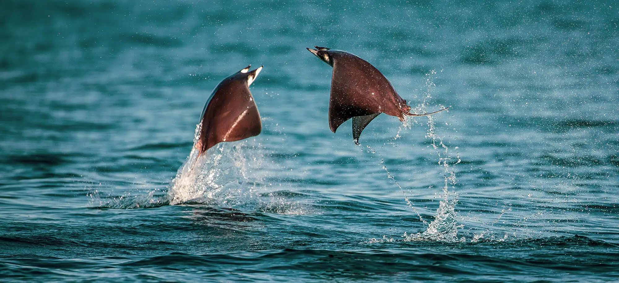 Mejor época para viajar a Isla Mauricio