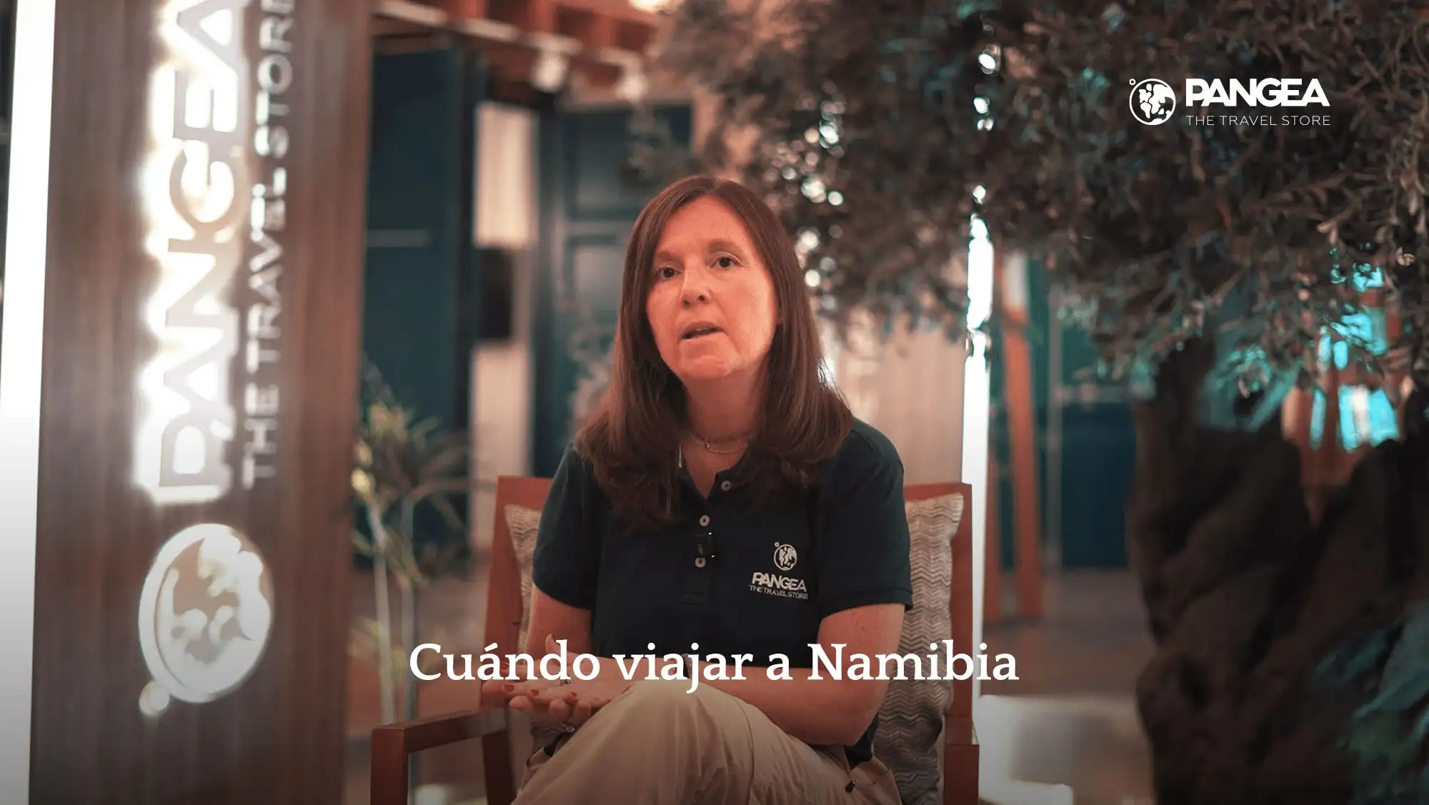 video modal image