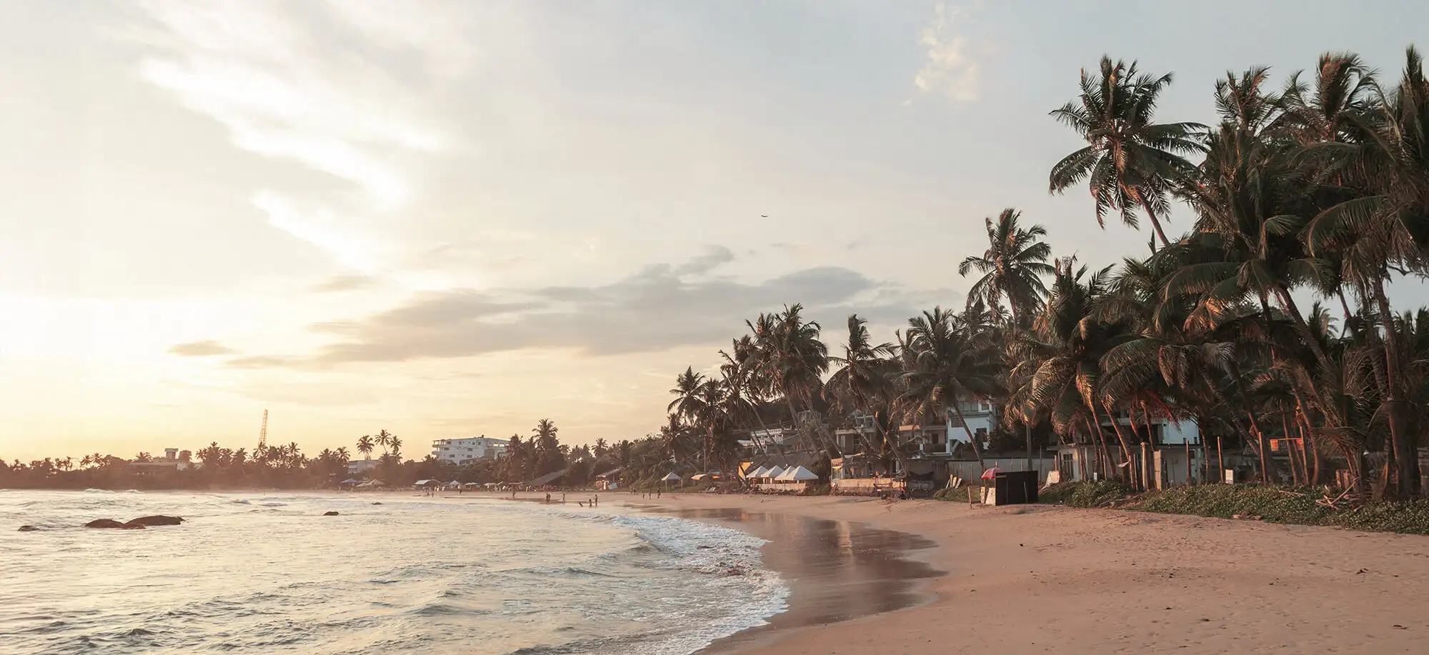 Mejor época para viajar a Sri Lanka