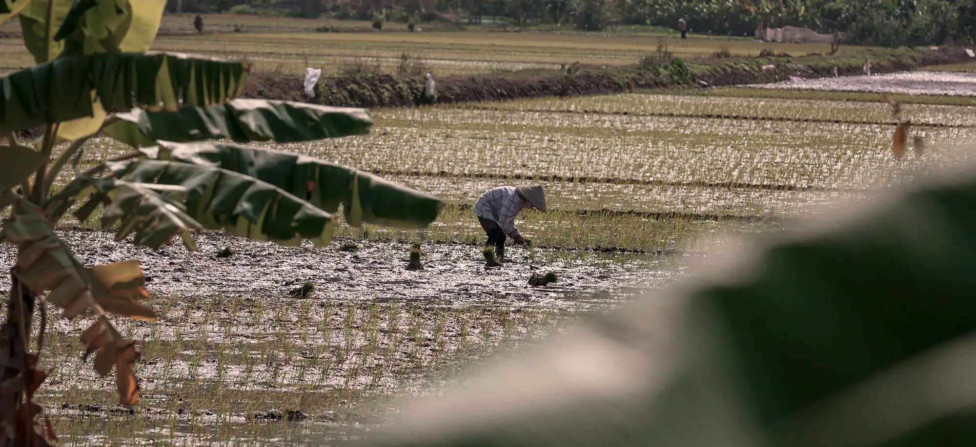 ¿Cuánto cuesta viajar a Vietnam?