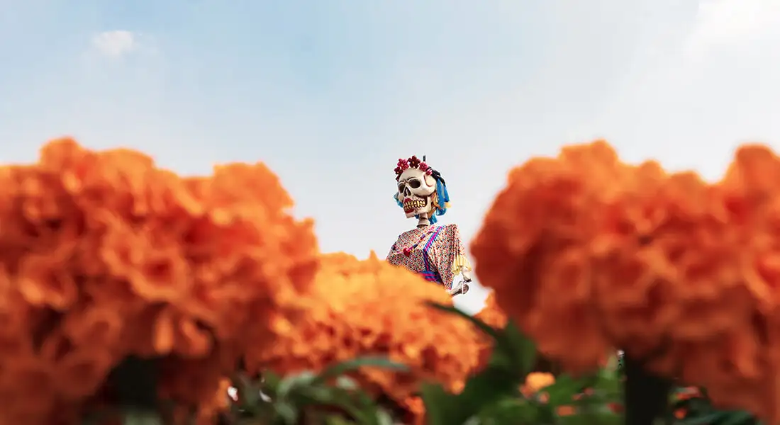 Flores de cempasúchil con una figura de Catrina al fondo