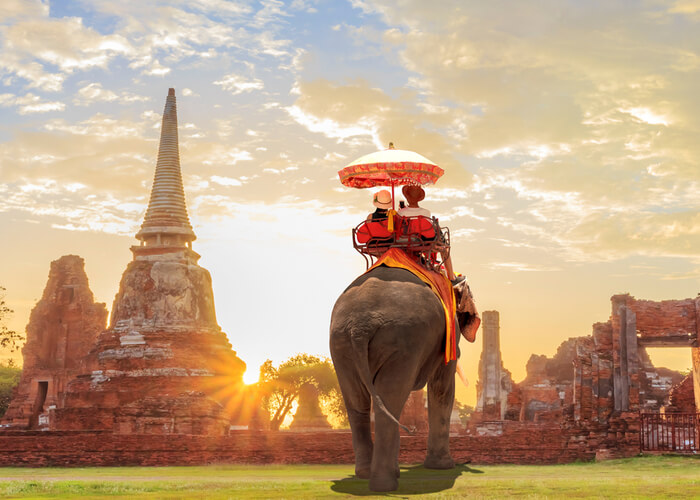 viaje de novios camboya elefante