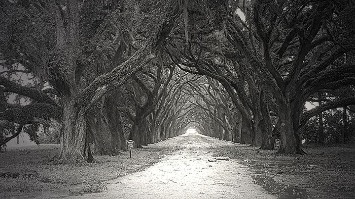 entrevista-vampiro-orleans