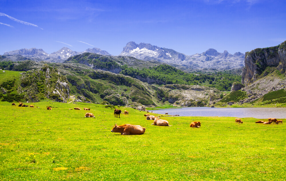 5 rincones naturales para una escapada a Asturias... ¡muy verde!