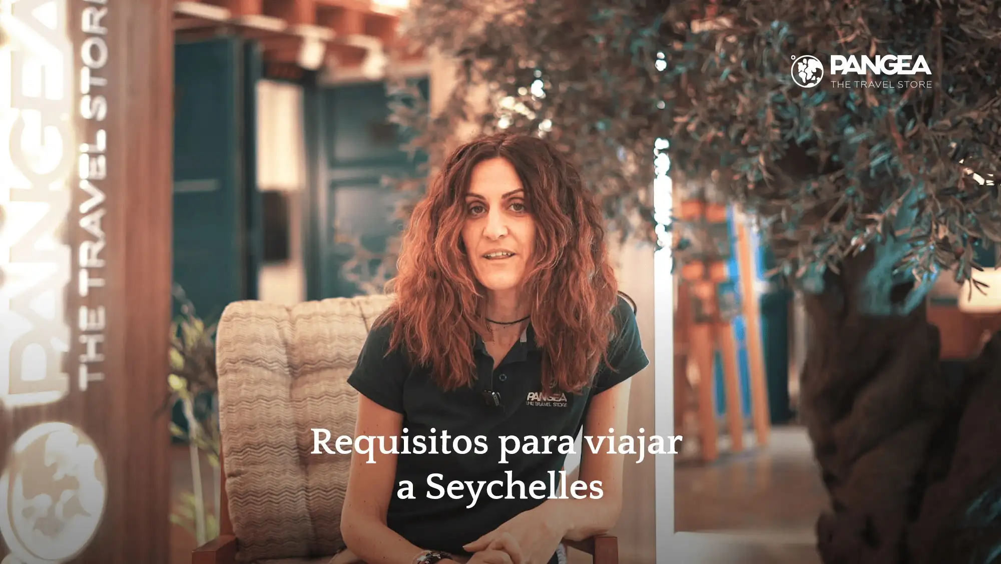 video modal image