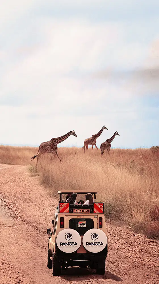 Hazte explorer PANGEA