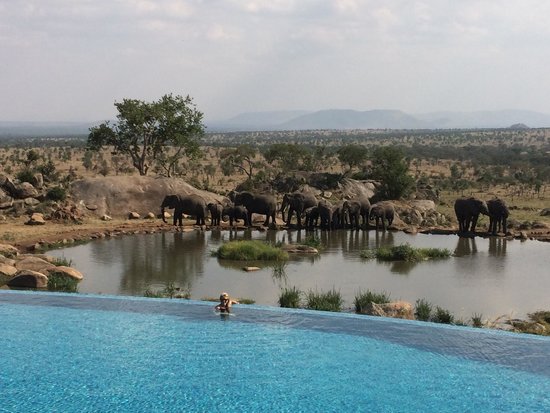 four-seasons-tanzania