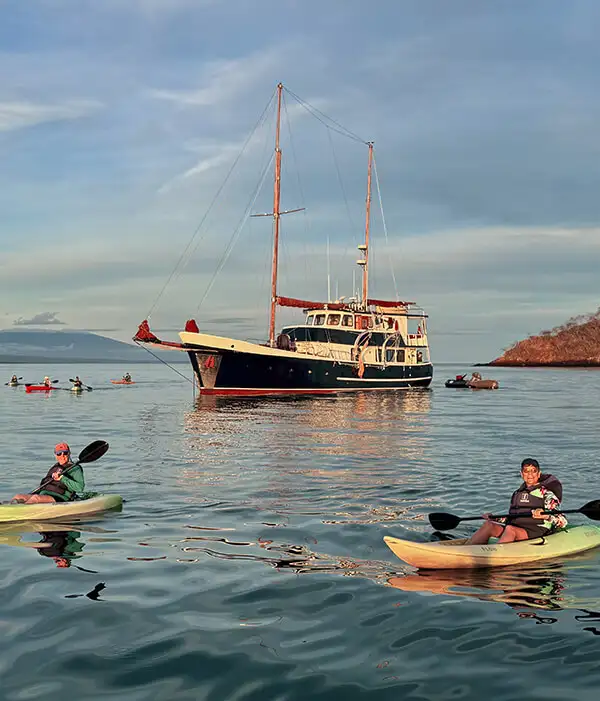 Tras las huellas de Darwin