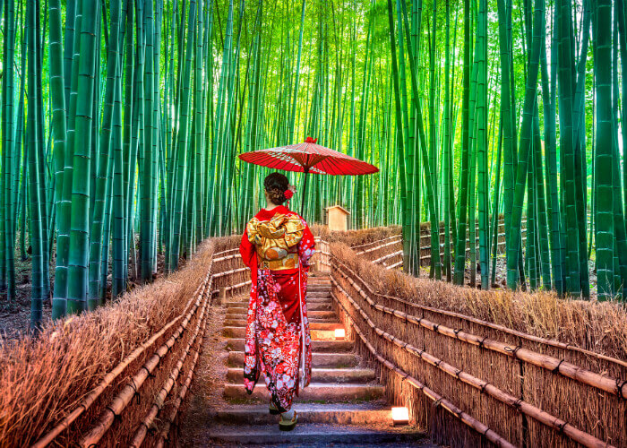 geisha-japon