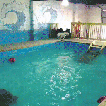 piscina-hotel-agosto