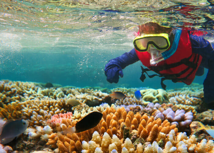 gran-barrera-de-coral-australia