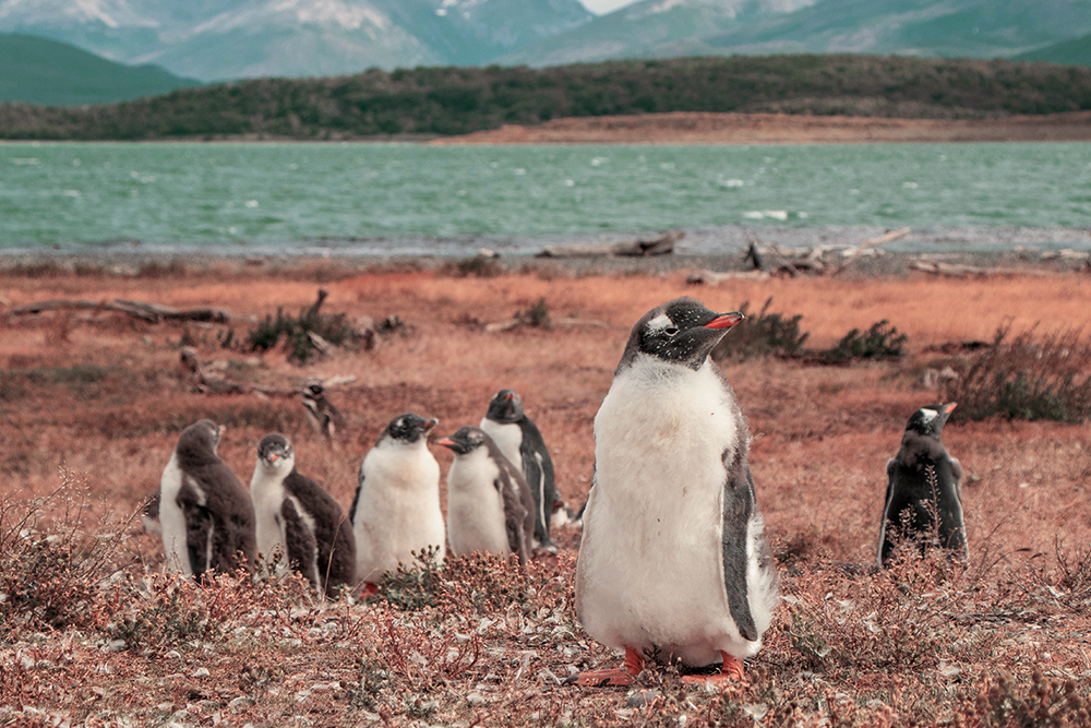 horoscopo-viajero-tailandia