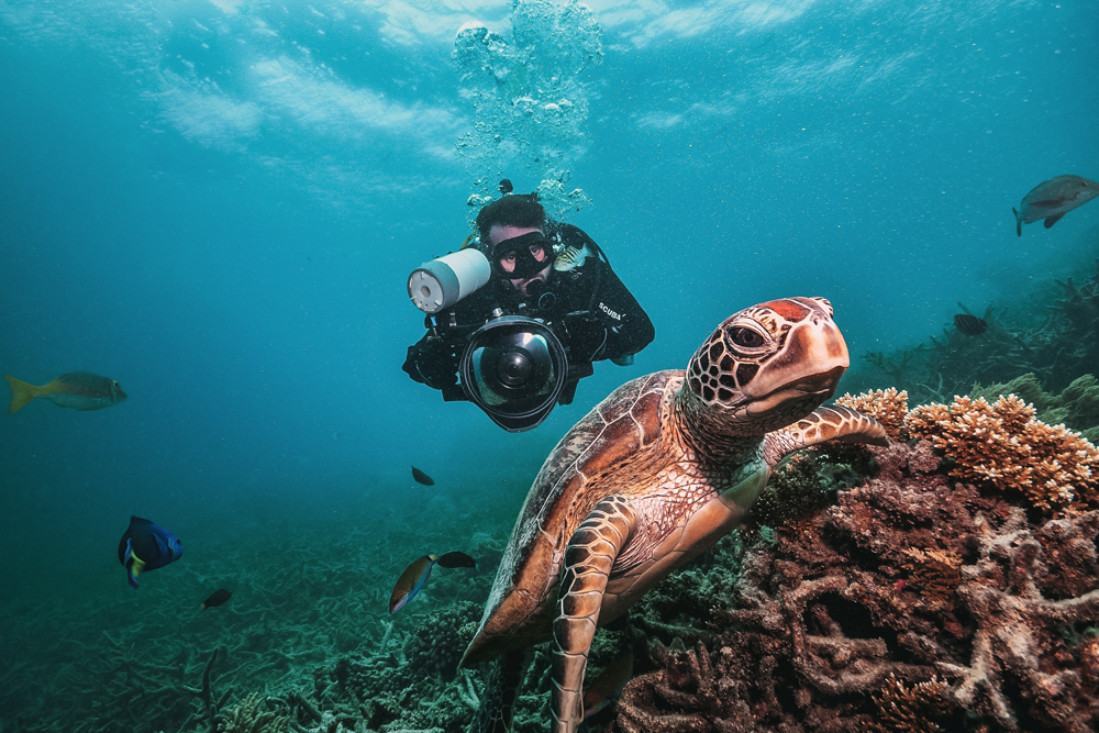 horoscopo-viajero-australia