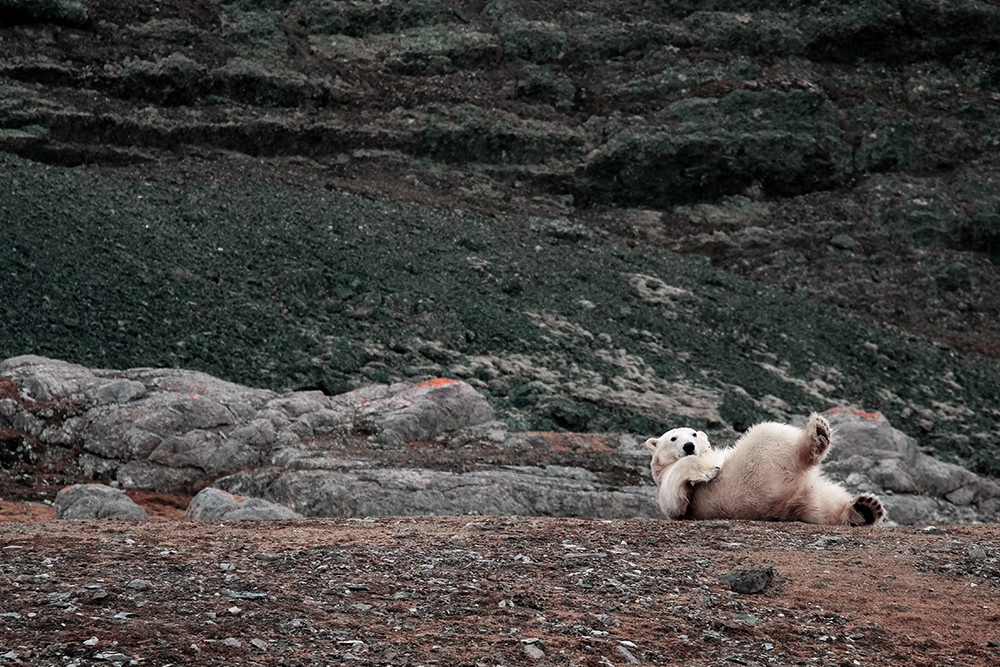 horoscopo-viajero-noruega