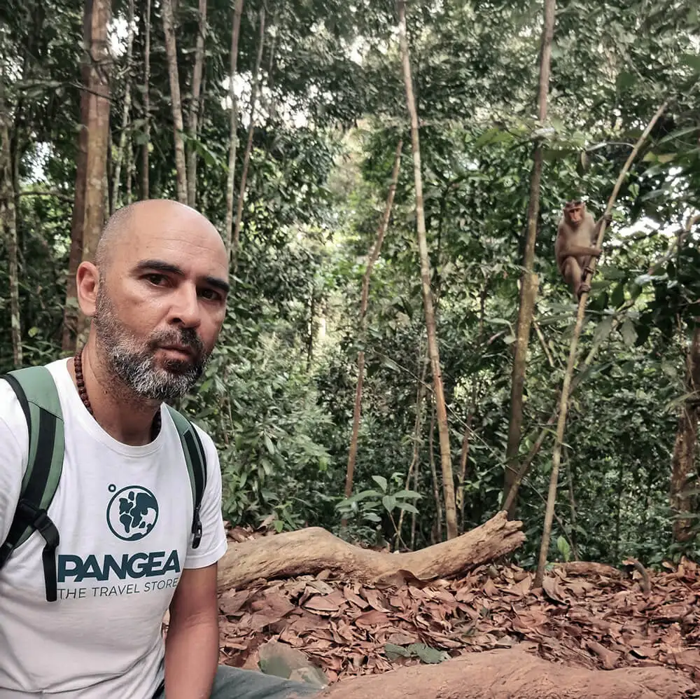 Por qué soy experto