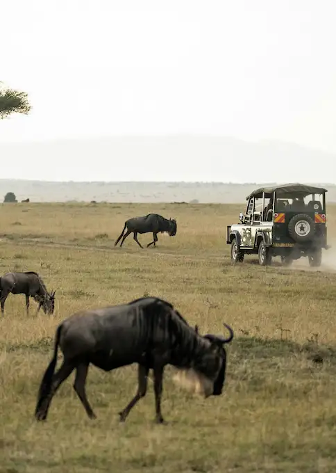 Consejos para viajar a Kenia
