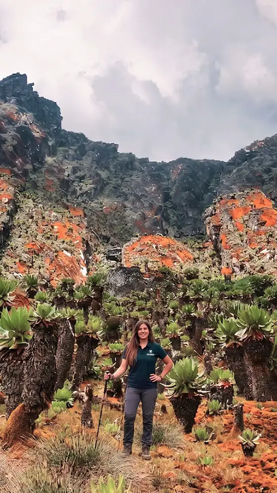 Macarena Gordillo