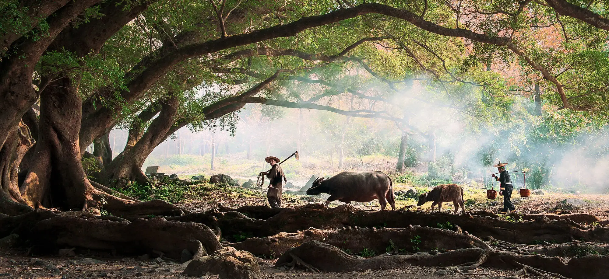 Mejor época para viajar a China 