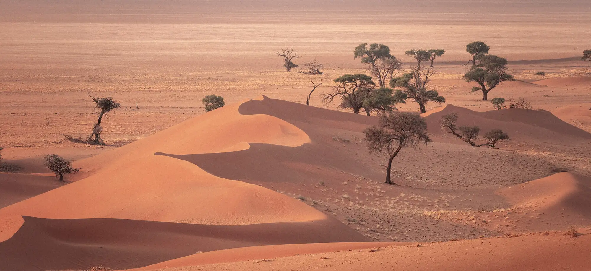 Mejor época para viajar a Namibia