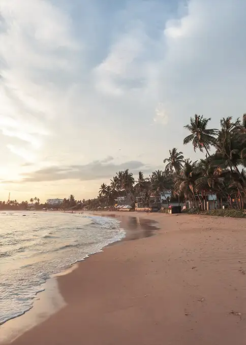 Mejor época para viajar a Sri Lanka