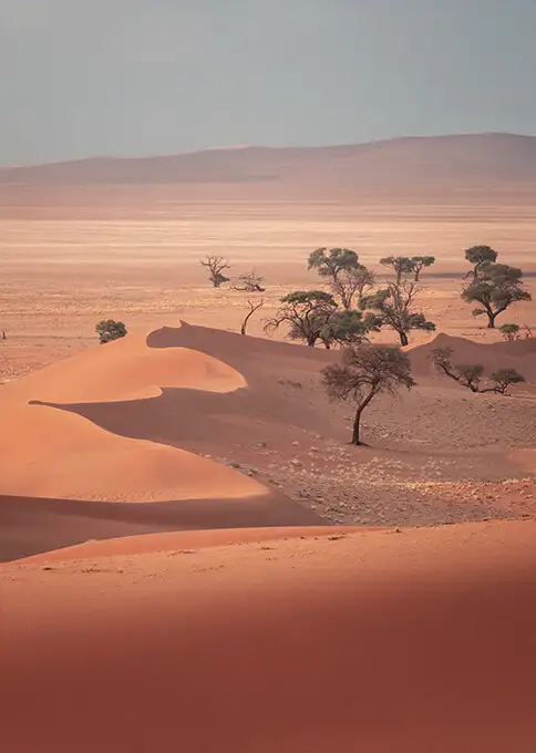 Mejor época para viajar a Namibia