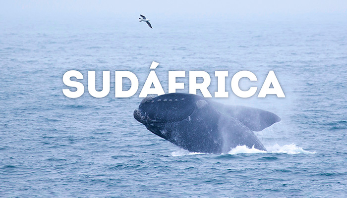 mejores-destinos-2024-SUDAFRICA