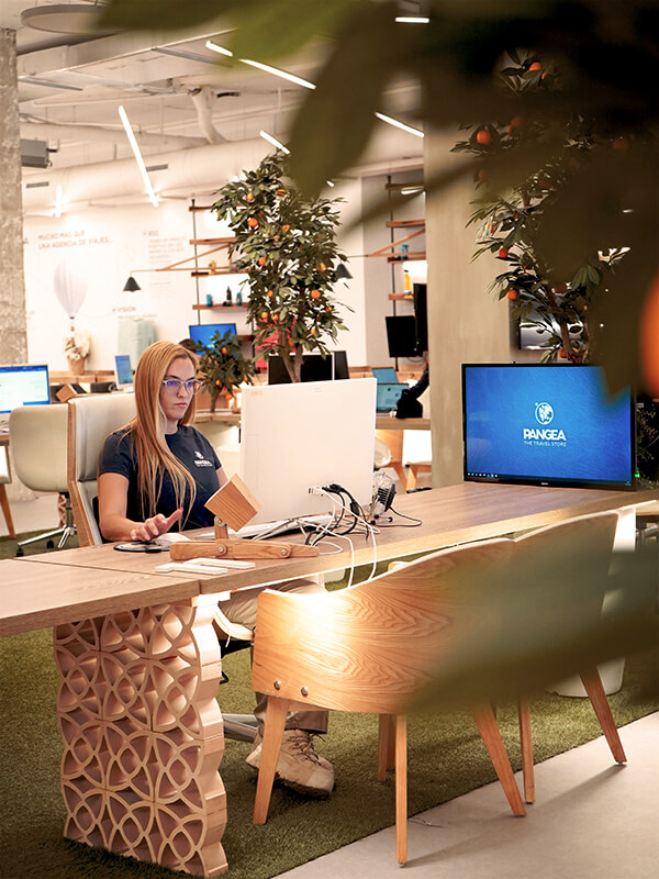 mosaico-vertical-1-VLC.jpg - Pangea Viajes