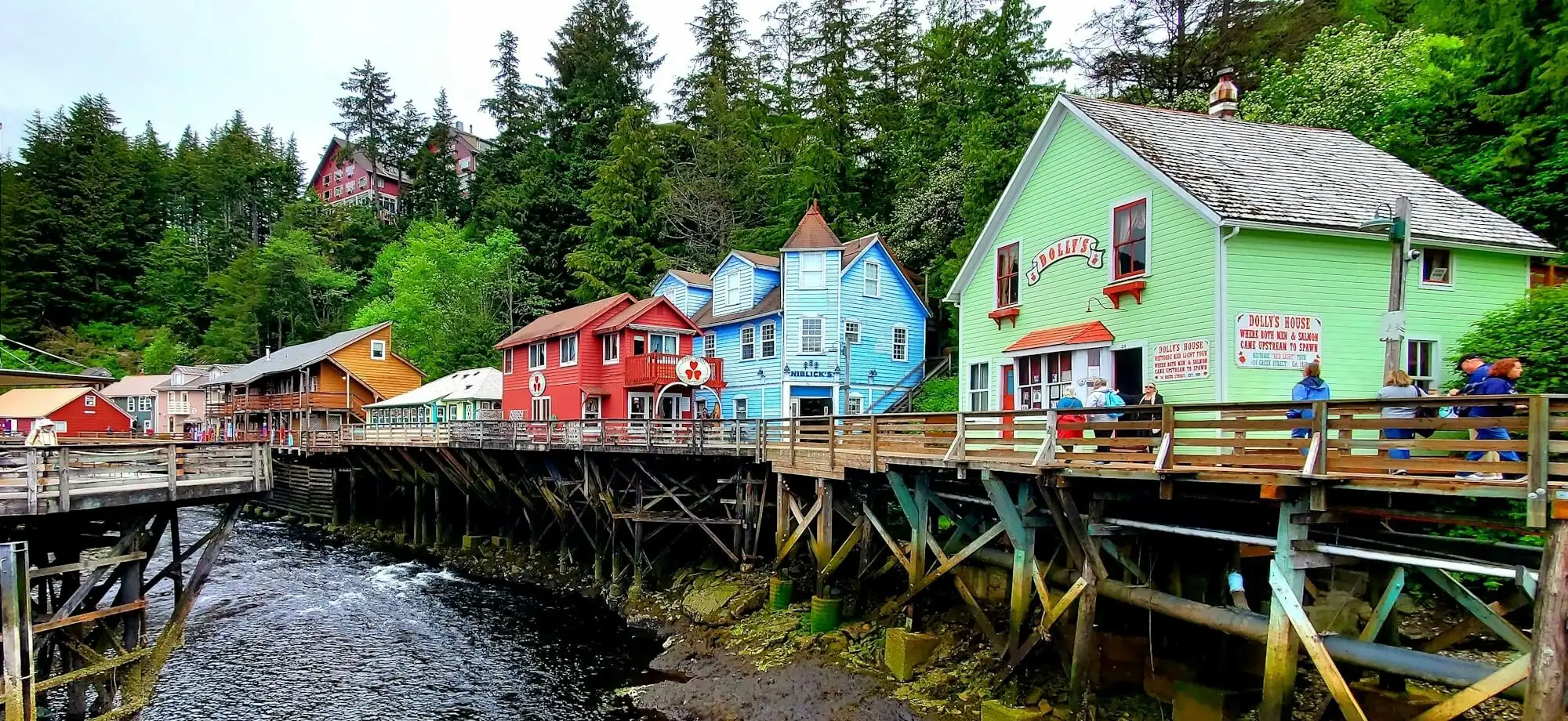 Creuer Alaska Nord i Glacera Hubbard