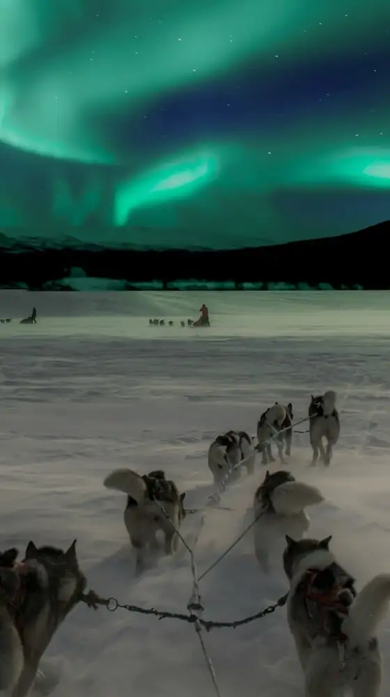 oferta-viaje-finlandia-auroras 2.jpg - Pangea Viajes