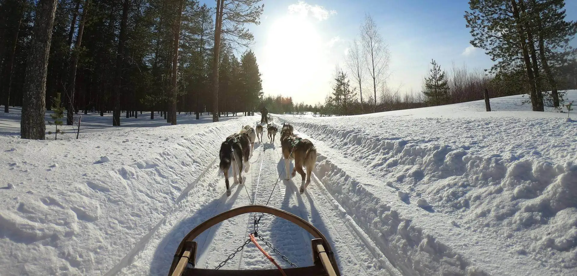 Leyendas de invierno