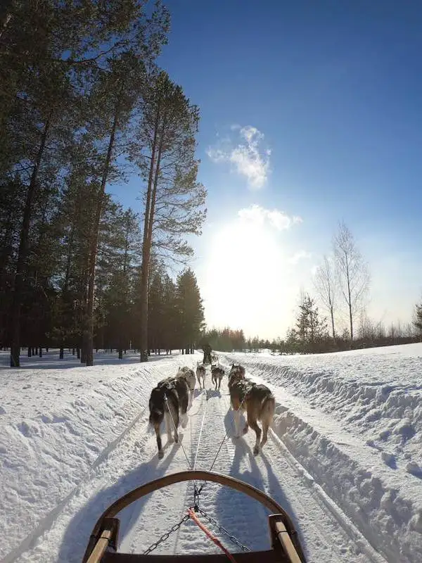 Leyendas de invierno