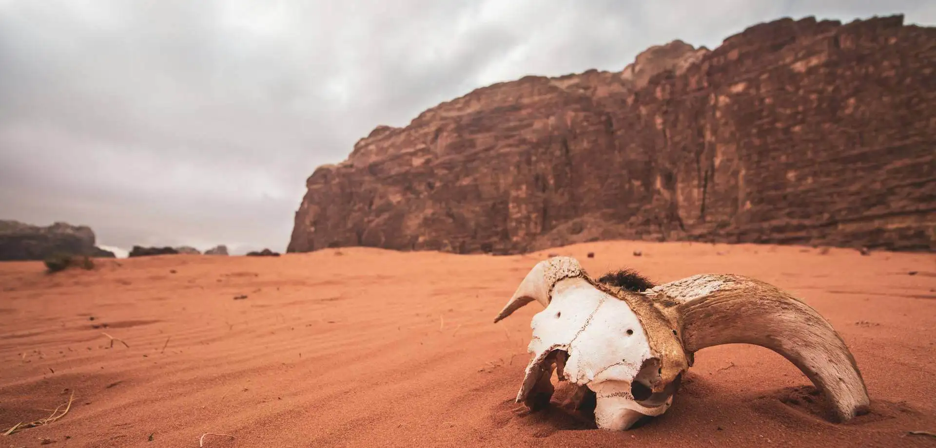 Descubriendo Jordania