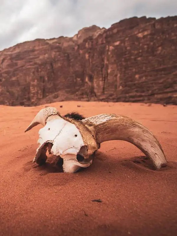 Descubriendo Jordania