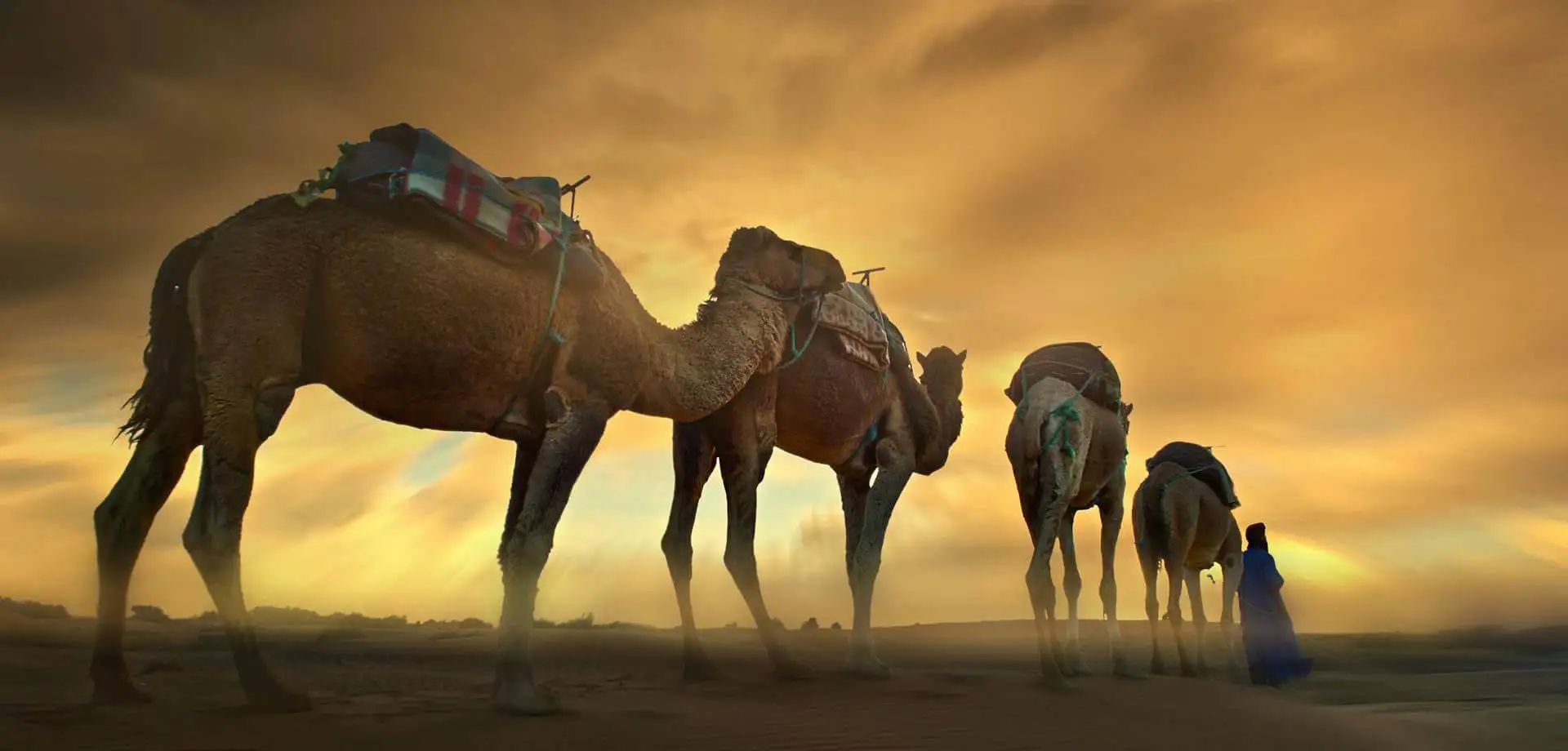 Dibujando los sonidos