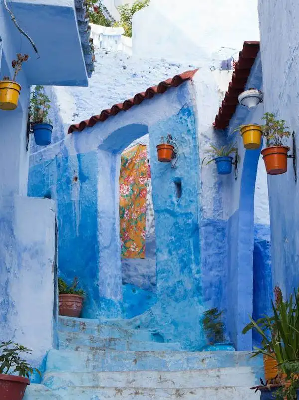 Esencias Norte de Marruecos