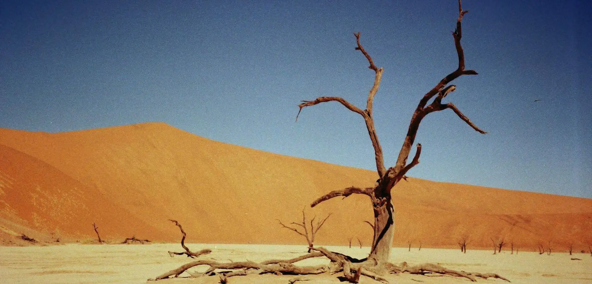 El alma del desierto