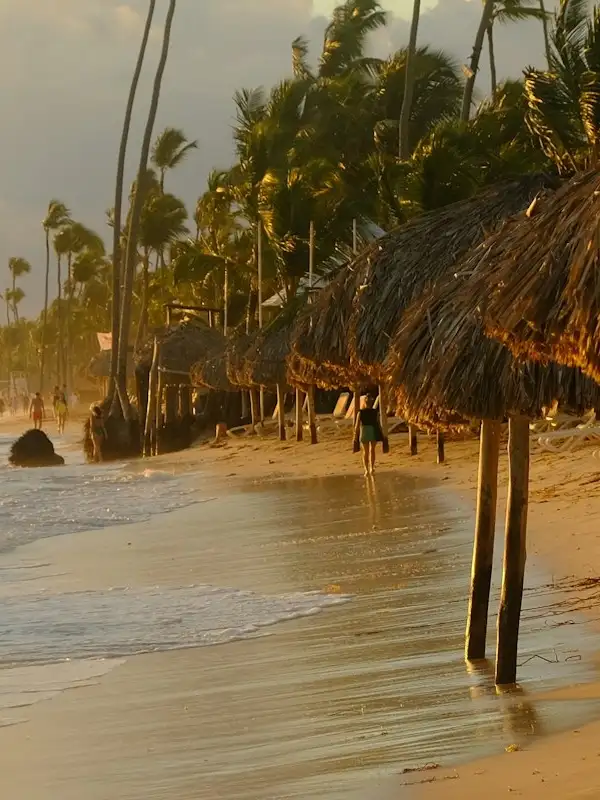 Pasión tropical