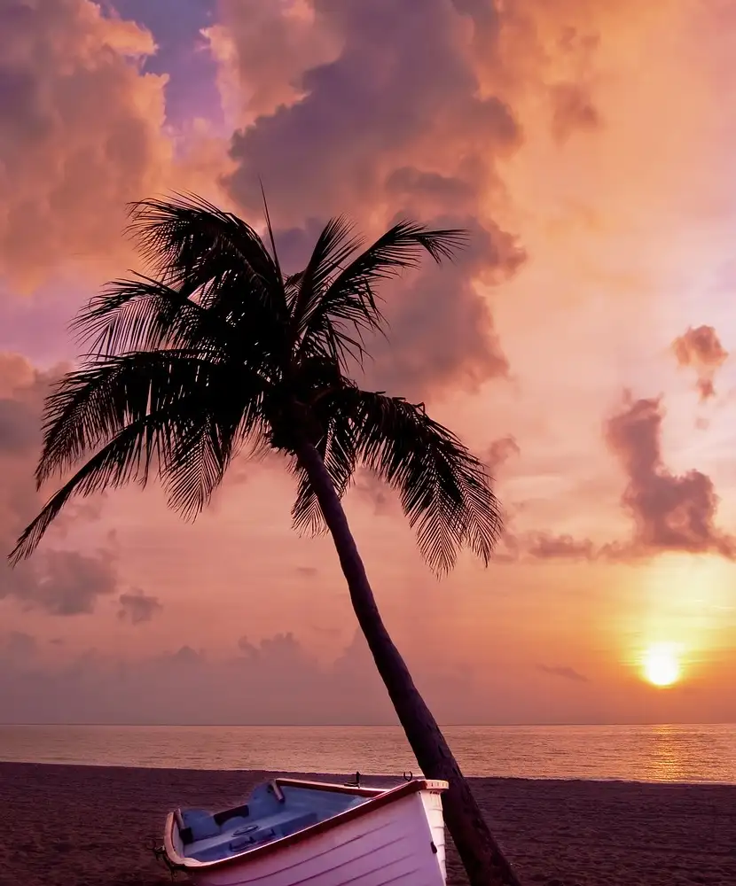 oferta-viaje-puntacana 4.jpg - Pangea Viajes