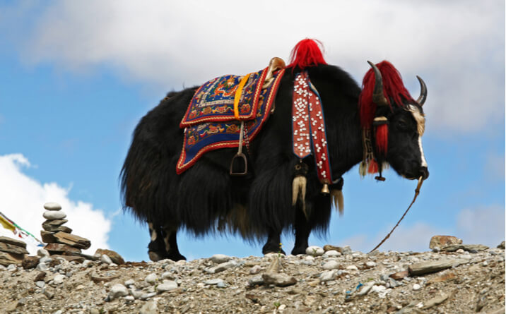 parque-yeti-viaje-butan