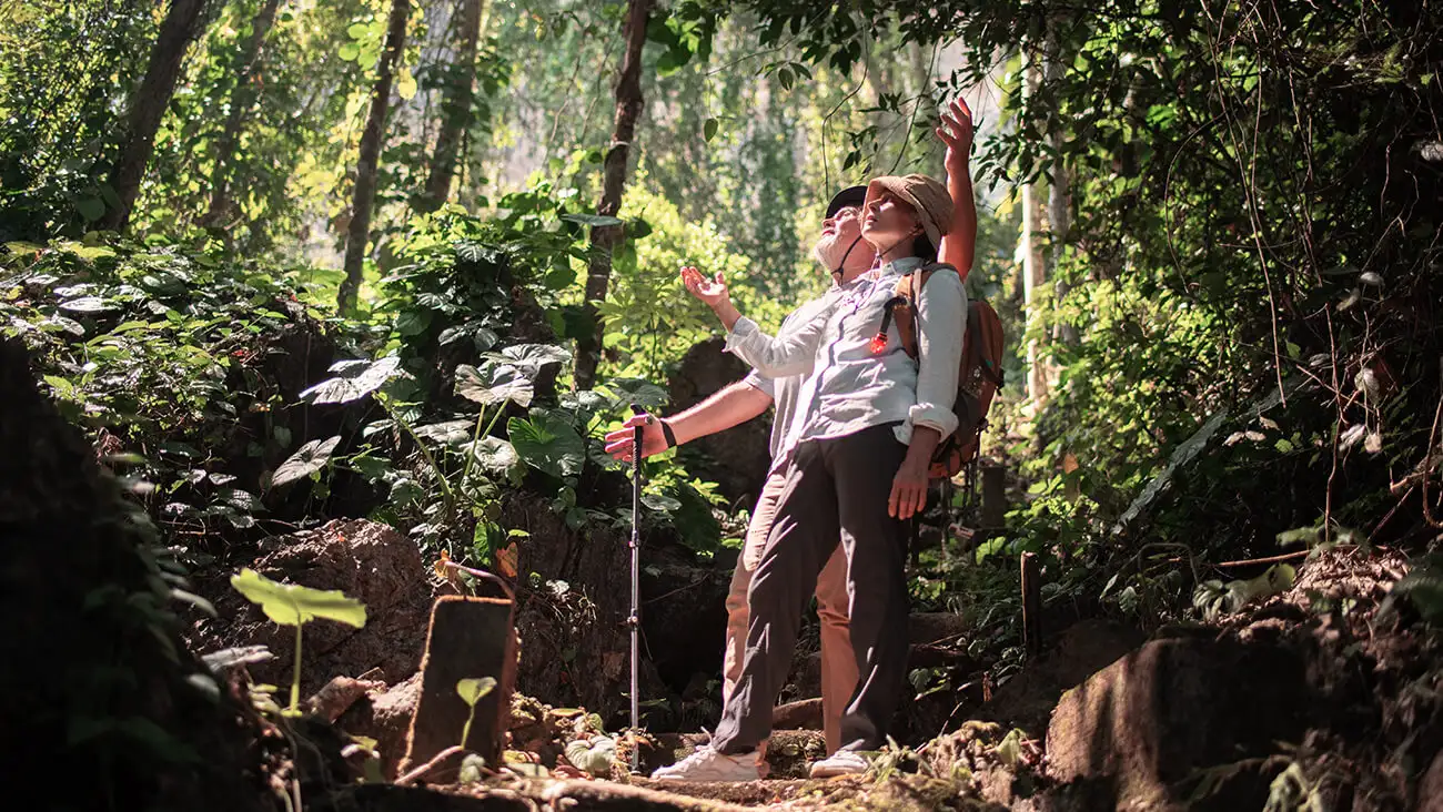 Ecoturismo: qué es y cuáles son los mejores destinos para viajar de forma sostenible